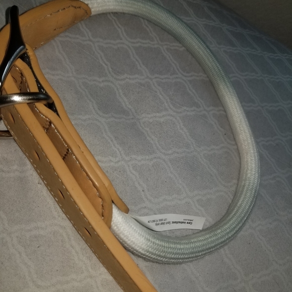 Brand new dog collar - Picture 2 of 2